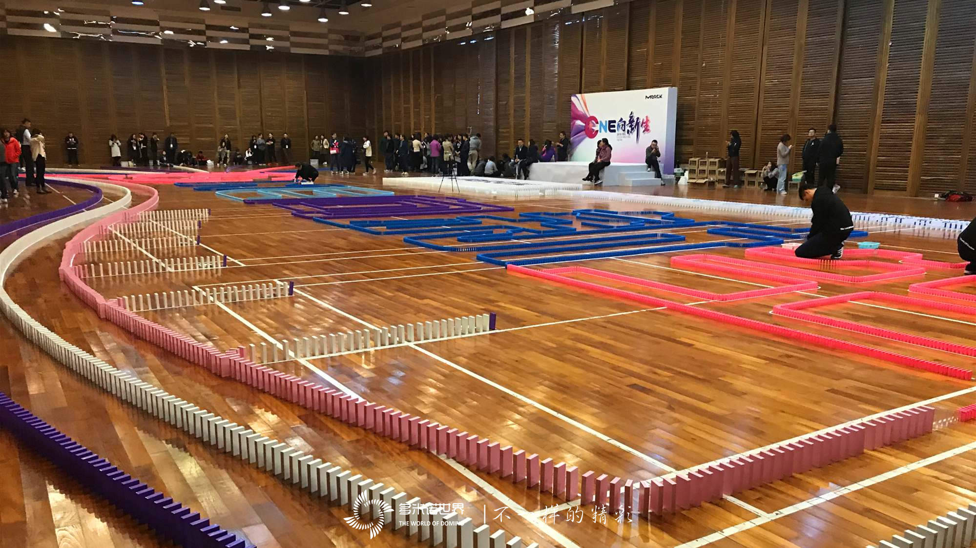 默克FBU多米諾團隊大挑戰(zhàn)