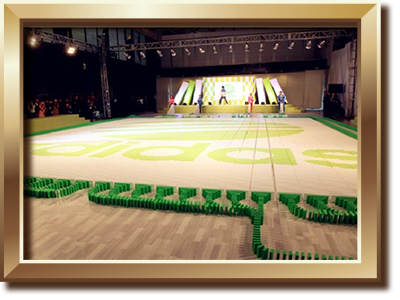 創(chuàng)造最大多米諾標(biāo)識(shí)紀(jì)錄 