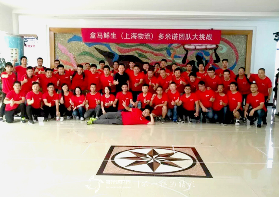 盒馬鮮生（上海物流）多米諾團(tuán)隊(duì)大挑戰(zhàn)