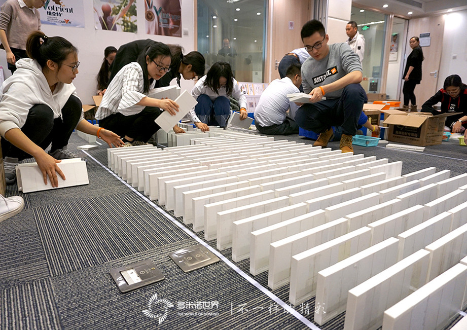 協(xié)作、團隊、共贏-諾華制藥TMO多米諾團隊大挑戰(zhàn)