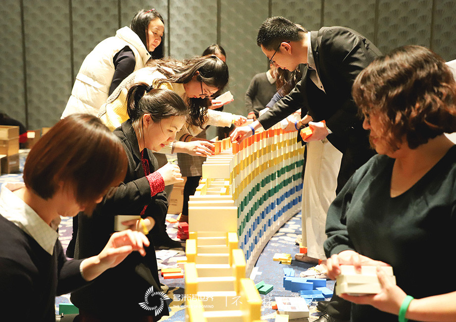 賽諾菲多米諾賀年會