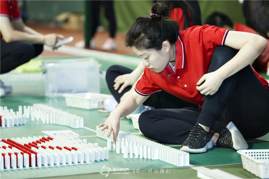 國新投資多米諾團(tuán)隊大挑戰(zhàn)